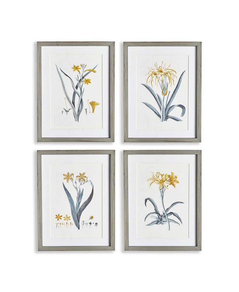 Daffodil Prints, Set Of 4