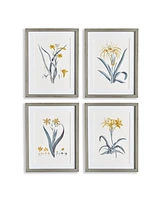 Daffodil Prints, Set Of 4