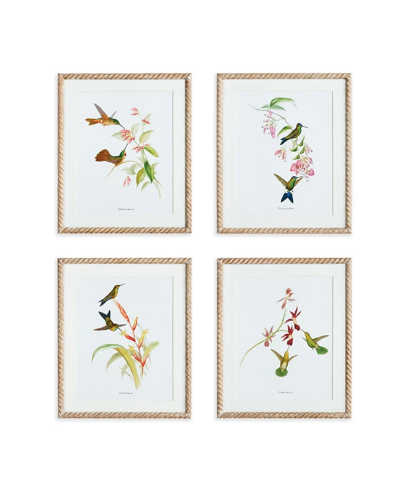 Playful Hummingbird Prints, Set Of 4