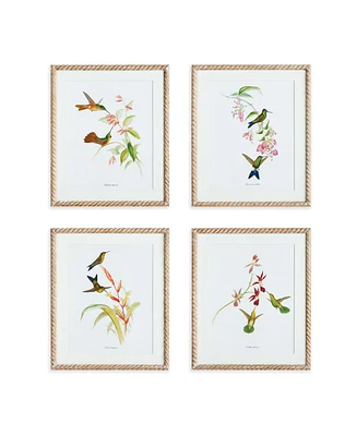 Playful Hummingbird Prints, Set Of 4