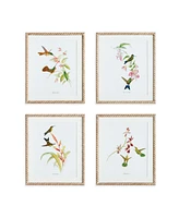 Playful Hummingbird Prints, Set Of 4