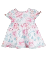 Rare Editions Baby Girl Floral Organza Dress