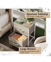 Wlive Nightstand 2 Drawer Dresser for Bedroom Small with Drawers Bedside Furniture Night Stand End Table Fabric Bins Closet