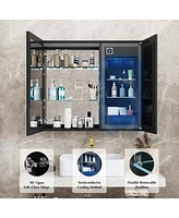 Lalahoo Upgraded Medicine Cabinet with Mirror, Built-in Beauty Refrigerator, Defogging, Bathroom Large Medicine Cabinet 2 Doors