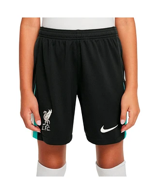 Nike Big Boys and Girls Navy Liverpool 2024/25 Away Stadium Shorts