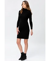 Pietro Brunelli Maternity Long Sleeve Body-Con Celeste Dress with Turtleneck