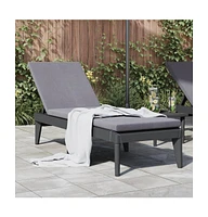 Sun Lounger Anthracite 73.2"x23.6"x11.4" Pp