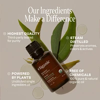 Organic Eucalyptus Essential Oil