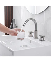 8 in. Widespread Double Handle High Arc Spout Bathroom Faucet