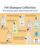 Bobbi Panter (Botanical) Rejuvenating Dog Shampoo Kiwi Extract, Lemongrass, Rosemary, Chamomile