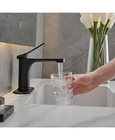 Single Hole Single-Handle Bathroom Faucet