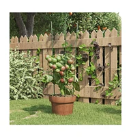 Garden Plant Supports with 3 Rings 5 pcs Green 23.6" Steel