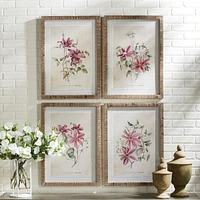 Pink Clematis Prints Set of 4