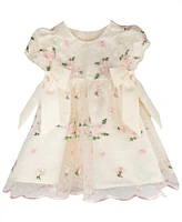 Rare Editions Baby Girls Embroidered Mesh Social Dress