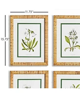 White Floral Study, Set Of 4