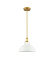 Moose Modern Gold Pendant Light Fixture Kitchen Island with Dome Opal Glass