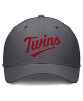 Nike Men's Gray Minnesota Twins Swoosh Performance Flex Hat