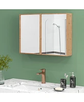 Double Door Bathroom Wall Cabinet with Mirror and Adjustable Shelves