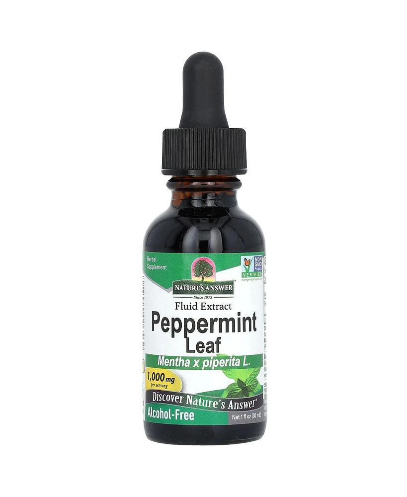Nature's Answer Peppermint Leaf Alcohol-Free 1 000 mg