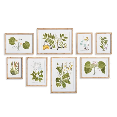 16.5"W x 0.75"D x 23"H and 13.25 x 0.75 x 18.5 and 10.25 x 0.75 x 13.75 Flora And Fauna Gallery Prints Framed Wall Art Set of 8