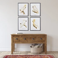 21.5"W x 1.25"D x 27.5"H Parrot Study In White Framed Wall Art Set of 4