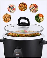Elite Cuisine 10-Cup Rice Cooker with Stainless-Steel Inner Pot