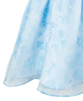 Rare Editions Toddler and Little Girls Floral Organza Social Dress