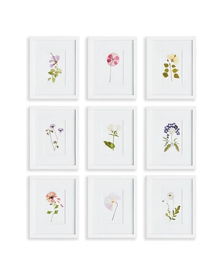 Mountain Flower Petite Prints St/9