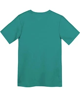 Nike Preschool Aqua Miami Dolphins Legend Icon Performance T-Shirt