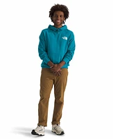 The North Face Men's Box Never Stop Exploring Pullover Hoodie