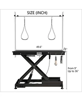 Super Deluxe Electric Pet Grooming Table, Color