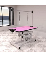 42.5INCH Hydraulic Pet Grooming Table With "H" Arm