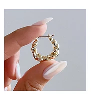 Ana Luisa Twisted Hoop Earrings - Paris