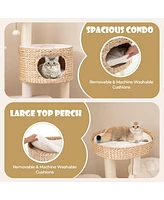 Modern Cat Tree for Indoor Cats with Cattail Fluff Condo & Top Perch Stylish & Cozy Playhouse