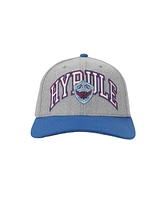 The Legend of Zelda Men's Hyrule Shield Gray & Blue Snapback Hat