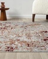 Lr Home Lainey Washable Lan-273 5'x7' Area Rug