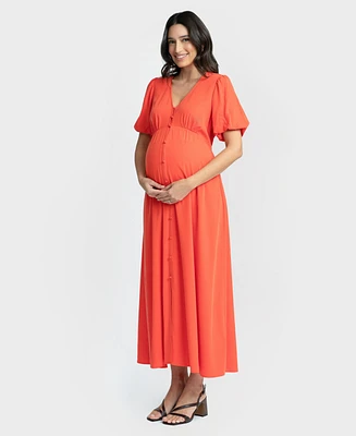 Seraphine Women's Maternity and Nursing Dress