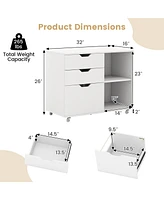 3-Drawer File Cabinet with Adjustable Shelf and Wheels for Letter