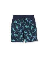 Lands' End Boys Slim Stretch Hydroliner Sport Swim Trunks