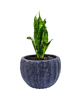 13.5" Fluted Lava Finish Ceramic Plant Pot - Features 1 Drainage Hole - 1.94 Gal Soil Capacity - Dark Blue