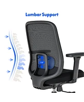 FlexiSpot C2HB-Foam Ergonomic High-Back Office Chair, Black