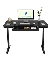 Flexispot EG9B-e, Electric Height Adjustable Glass Top Standing Desk, Black