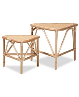 bali & pari 2-Pc. Finished Rattan Jayden Modern Bohemian End Table Set