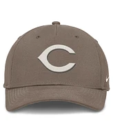 Nike Men's Brown Cincinnati Reds Rise Performance Adjustable Hat