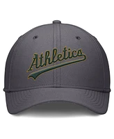 Nike Men's Gray Athletics Swoosh Performance Flex Hat