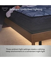 Beautyrest BaseLogic Platinum Adjustable Base