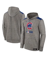 Nike Men's Heather Charcoal Chicago Cubs Authentic Collection Performance Pullover Hoodie