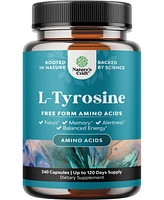 L-Tyrosine Capsule, High Strength L-Tyrosine Supplement for Mental Energy, Mood, Focus, Attention & Cognition, Nature's Craft, 240ct