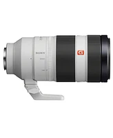 Sony Fe 100-400mm f/4.5-5.6 Gm Oss Lens for Sony E