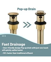 2 Handle Bathroom Sink Faucet